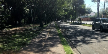 Foto: Andrey Moral/PIRANOT