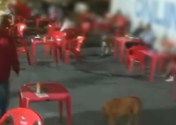 Foto: Reprodução/R7