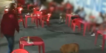 Foto: Reprodução/R7