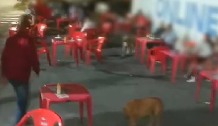 Foto: Reprodução/R7