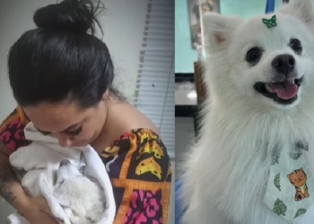 Foto: Reprodução/Instagram