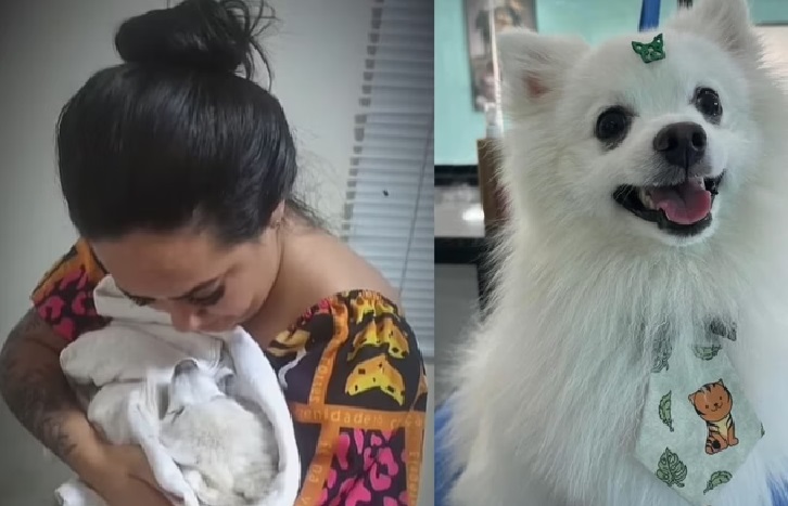 Inconformado com o fim do relacionamento, homem mata a facadas o cachorro da ex-companheira