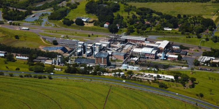 Raízen surpreende mercado financeiro ao vender usina em Piracicaba, seu berço de criação, por R$ 425 milhões à vista