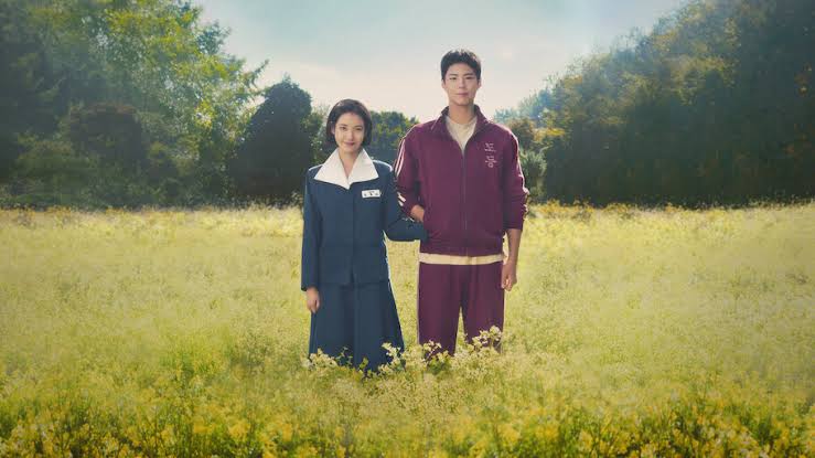 Crimes, sexo e temas sensíveis: o que doramas da Globo e SBT têm a ensinar?