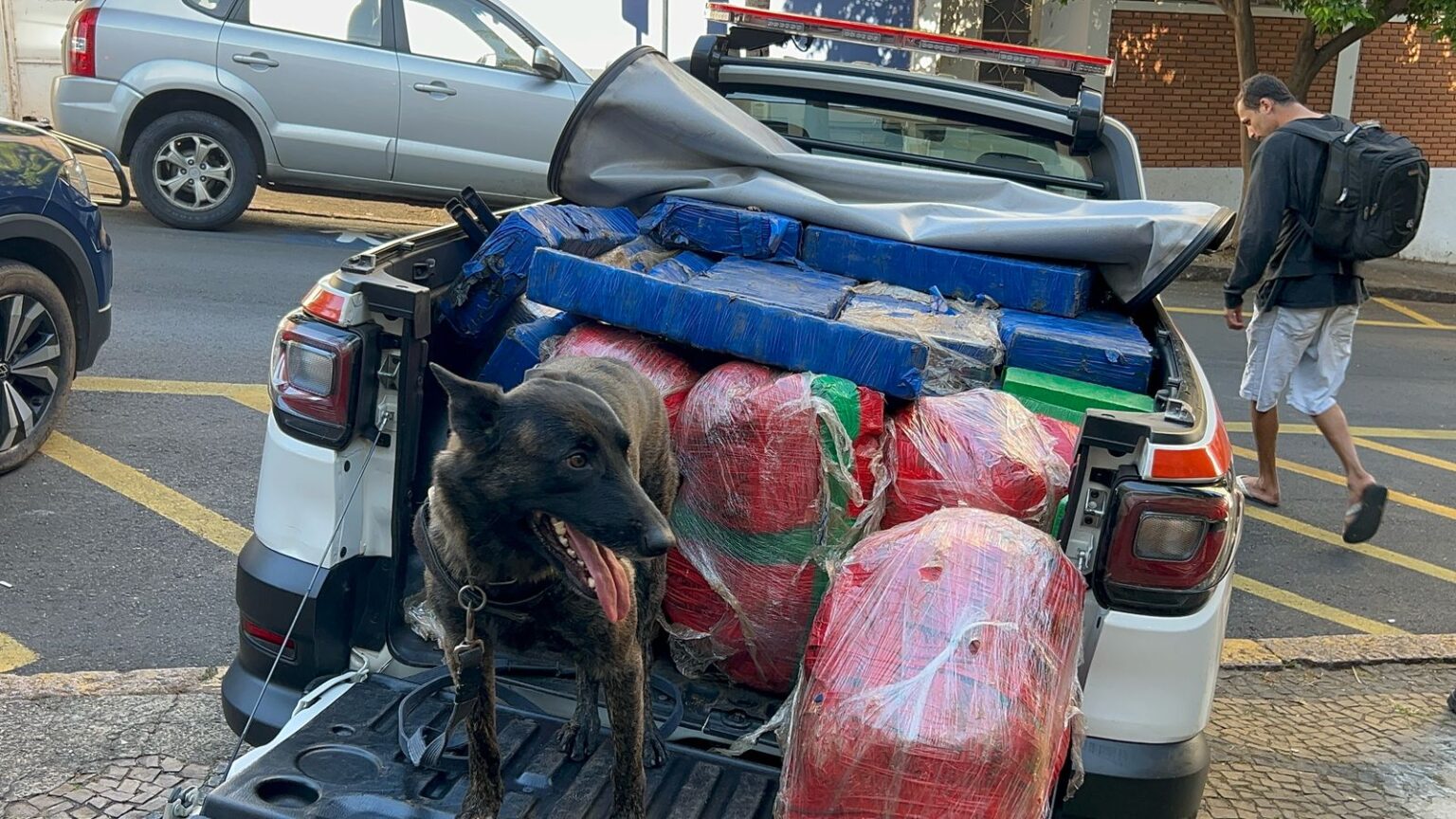 GCM apreende quase 1 tonelada de drogas em área rural de Piracicaba