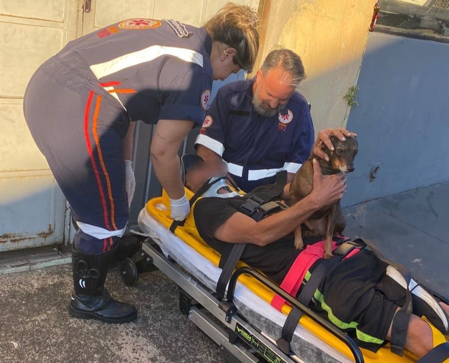 Após atropelamento, cão permanece ao lado do tutor ferido em Piracicaba