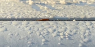 Foto: Fabricio/Alerta Piracicaba