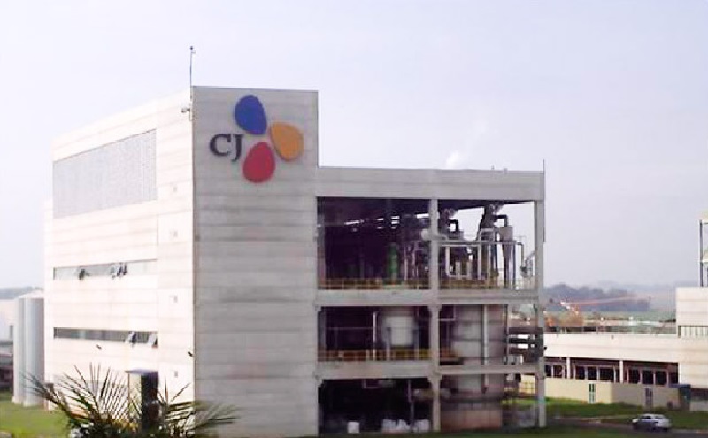 CJ Brasil está com vagas abertas de emprego em Piracicaba