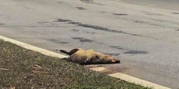 Foto: Fábricio/Alerta Piracicaba