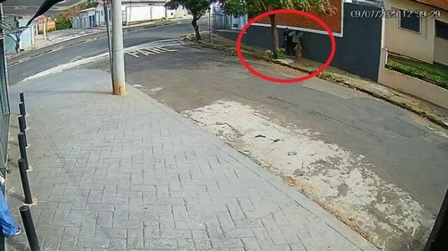 ataque pitbull piracicaba