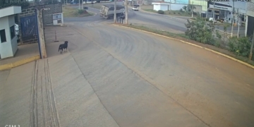 Foto: Divulgação/Câmera de Segurança