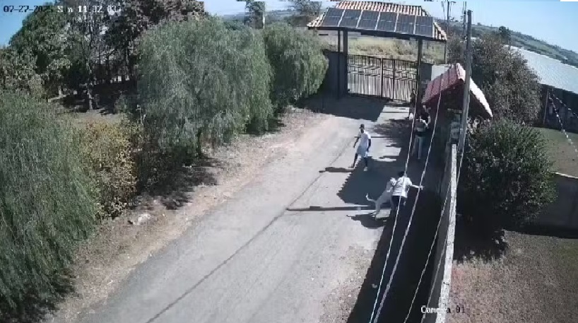 Jovem é atacada por pitbull durante festa na região de Piracicaba