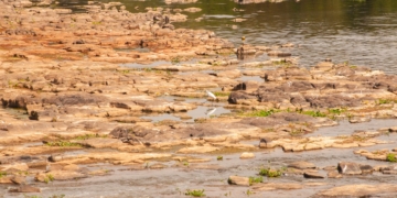 Foto: Andrey Moral/PIRANOT