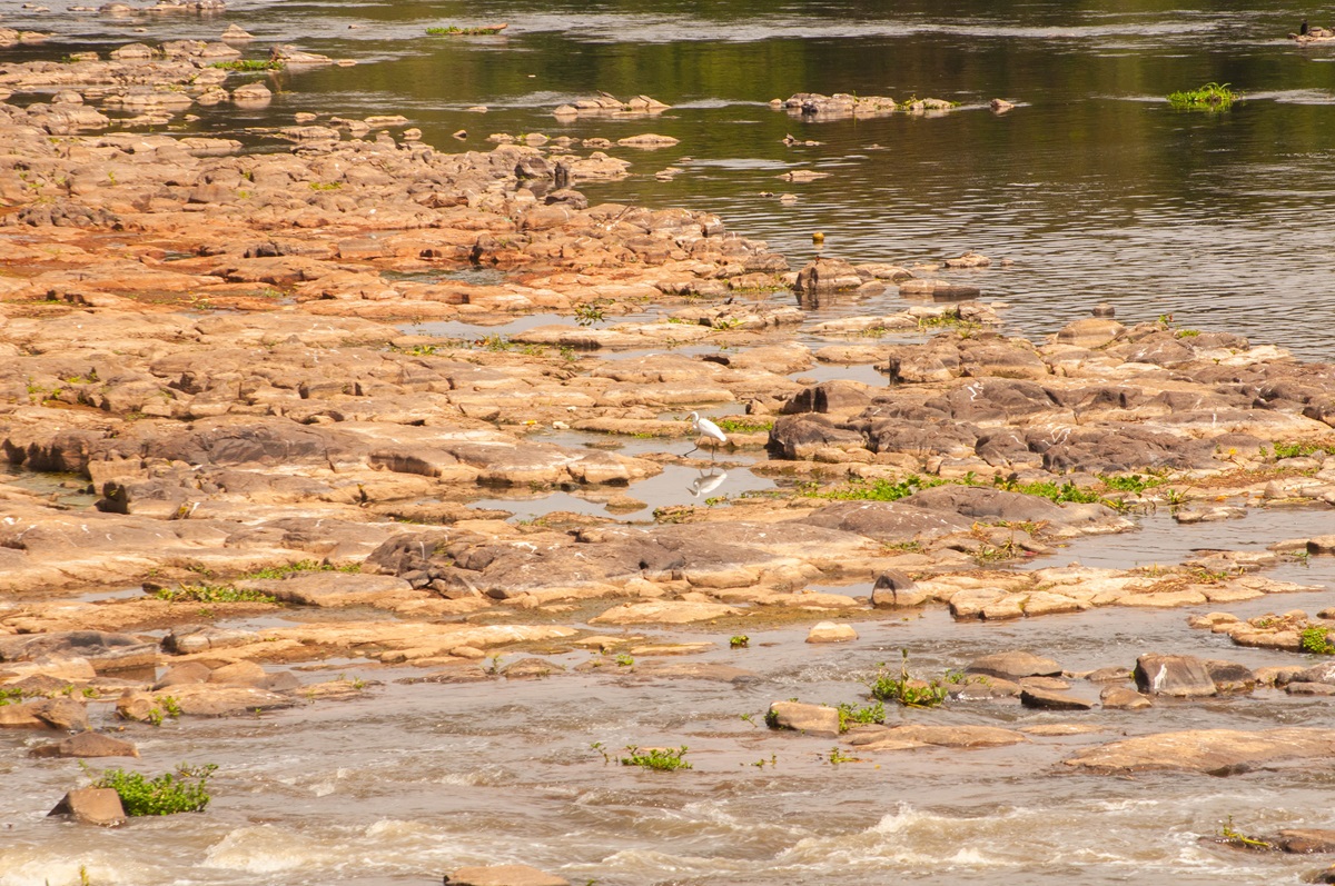 Falta de chuvas deixa Rio Piracicaba com níveis críticos e trechos praticamente secos