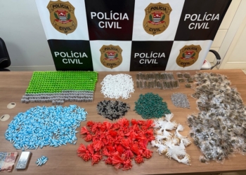 Foto: Polícia Civil