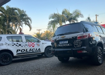 Foto: Polícia Civil