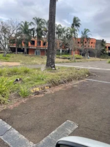 ec69c8b5fa04fb1e9644aaae8b8c6c69afbff4a2