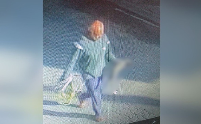 ‘Serial killer’ de gatos é preso em SP; ele andava pelas ruas com cadáveres de gatos em uma mala