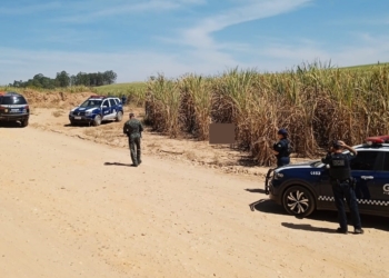 Foto: Divulgação/GCM