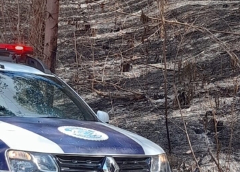 Foto: Divulgação/GCM