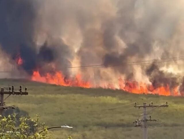 WhatsApp Image 2025-09-05 at 12.28.03