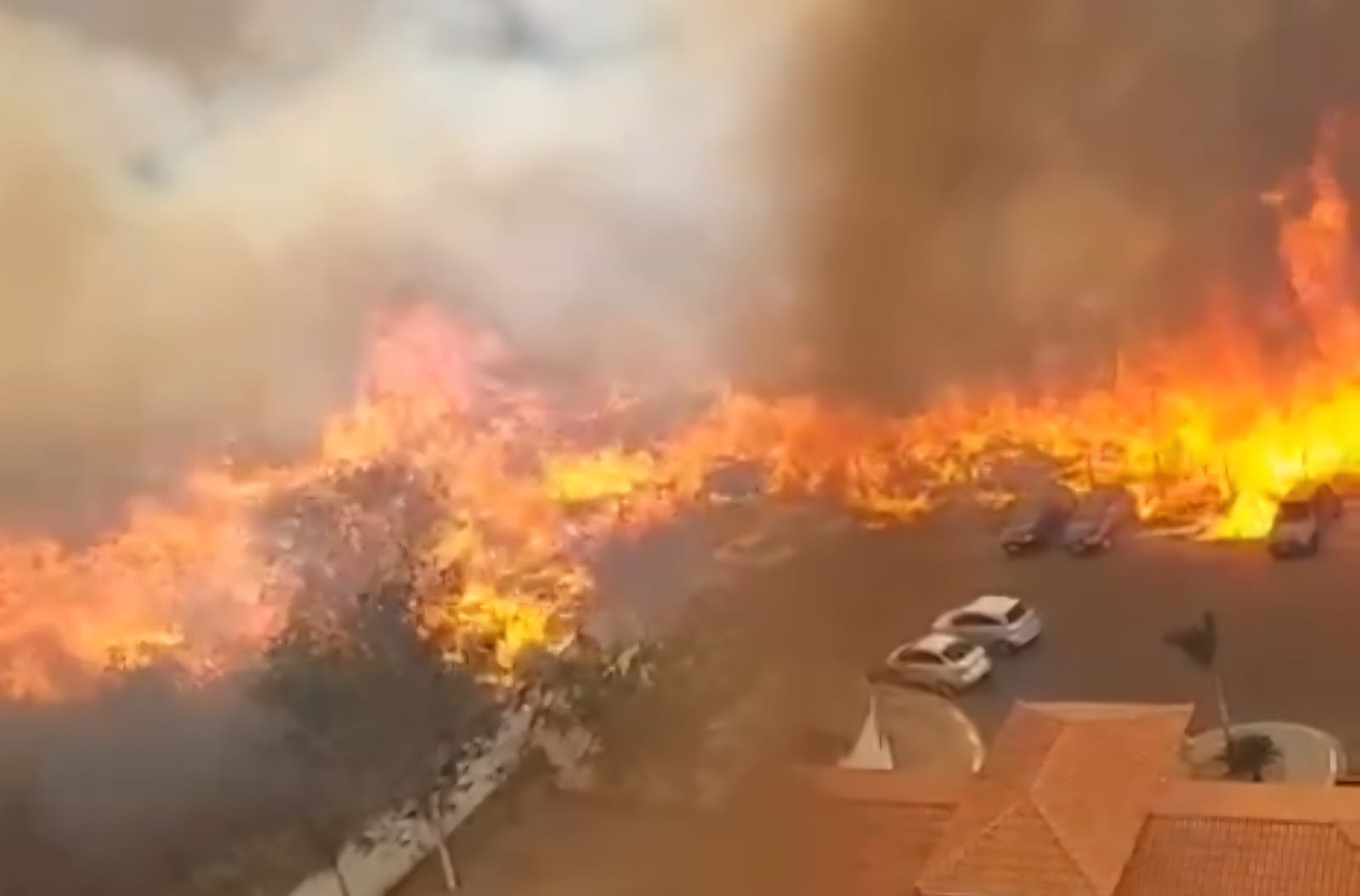 Incêndio de grandes proporções atinge área verde, destrói carros e mata animais no interior paulista