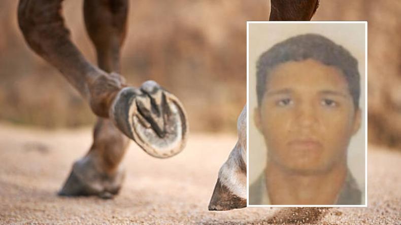 Jovem morre após ser atingido por coice de cavalo em fazenda