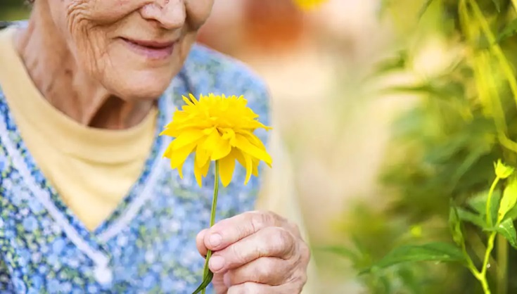 Festa da Primavera do Lar dos Velhinhos acontece neste sábado (20) em Piracicaba