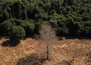 © REUTERS/Amanda Perobelli/Direitos Reservados