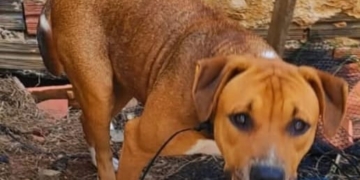 Foto: Alessandra Bellucci