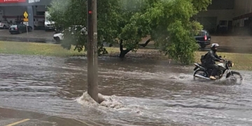 Foto: Andrey Moral/PIRANOT