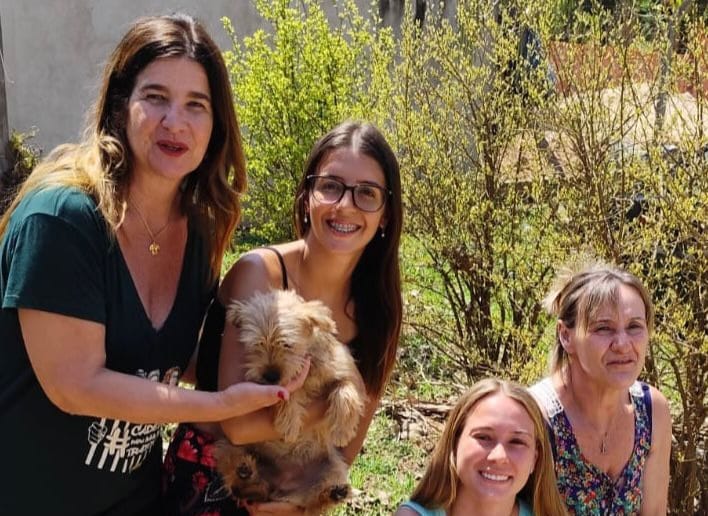 Cachorrinha flagrada sendo abandonada em Piracicaba é adotada