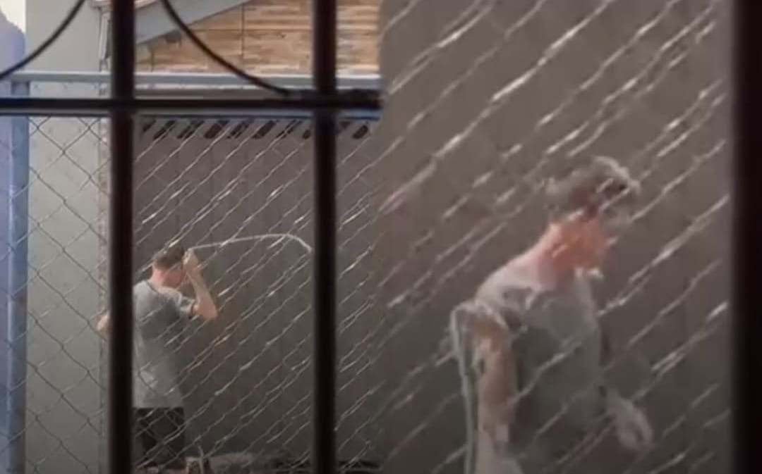 Indivíduo é flagrado chicoteando cachorro em Piracicaba