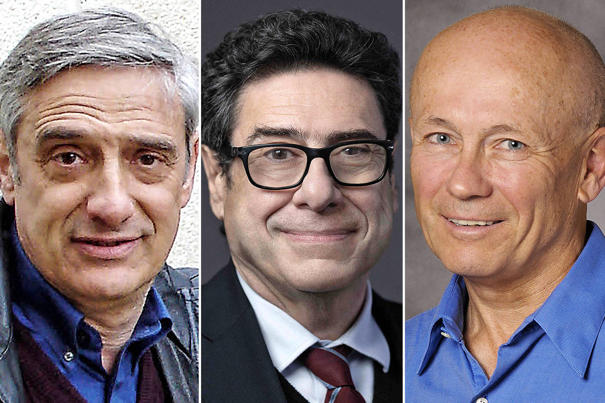 Nobel de Economia de 2025 reforça a importância da inovação institucional para o desenvolvimento sustentável do Brasil