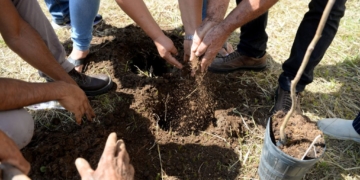Pomar Urbano visa a fortalecer a resiliência climática nos municípios com a implementação de...