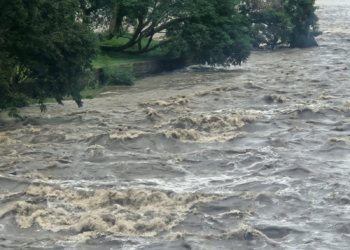 Foto: Andrey Moral/PIRANOT