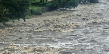 Foto: Andrey Moral/PIRANOT