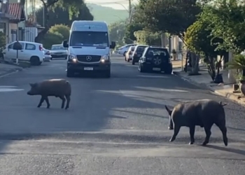 Foto: Edijan Del Santo/EPTV