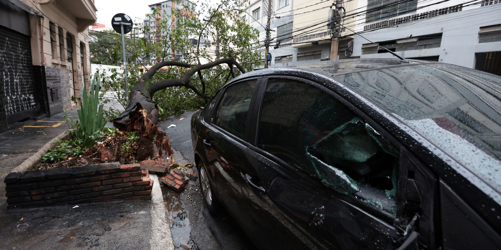Chuva forte e ventos atingem Sul e Sudeste; alerta para alagamentos Chuva forte e ventos atingem Sul e Sudeste; alerta para alagamentos