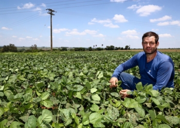 Produtor Manoel Polato, de Porto Ferreira. Foto: Gilberto Marques/SAA