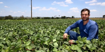 Produtor Manoel Polato, de Porto Ferreira. Foto: Gilberto Marques/SAA