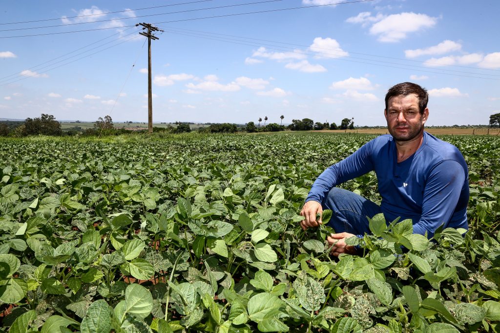 São Paulo lidera o país com investimento recorde de R$ 290 milhões no Seguro Rural