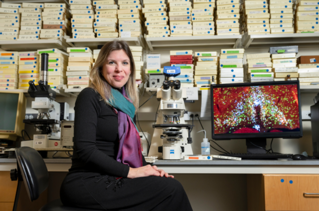 Pesquisa de Harvard identifica neurônios que controlam febre e “estado de hibernação” em humanos