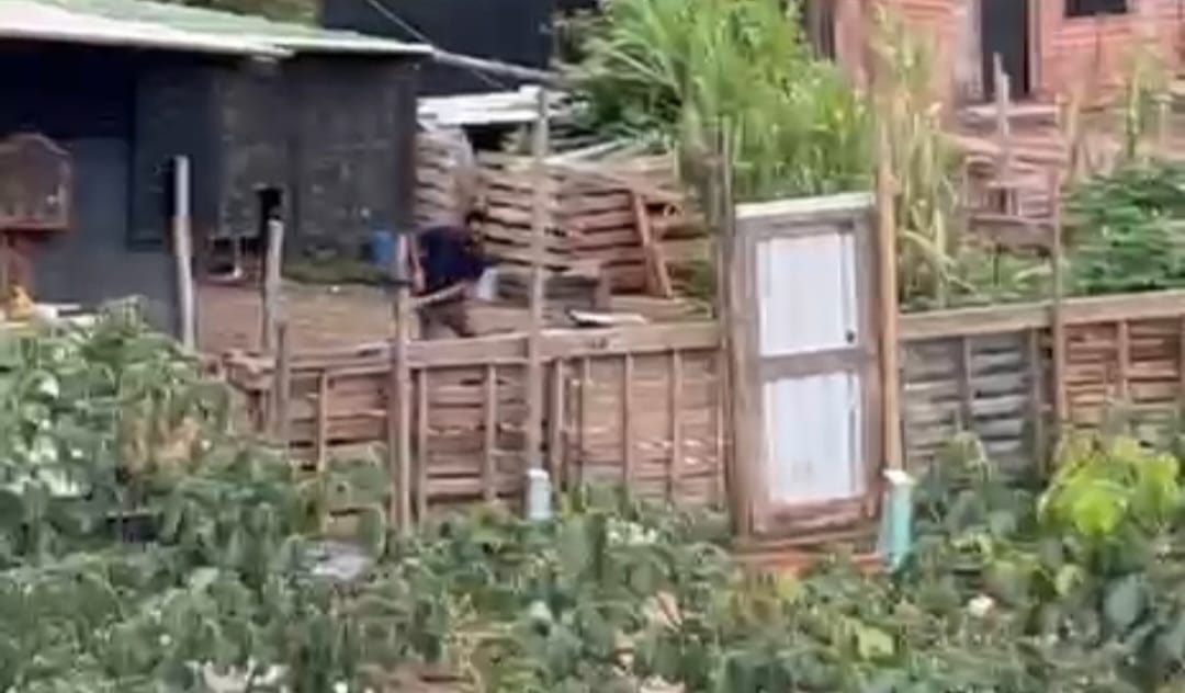 Cão é flagrado sendo agredido a pauladas em Piracicaba