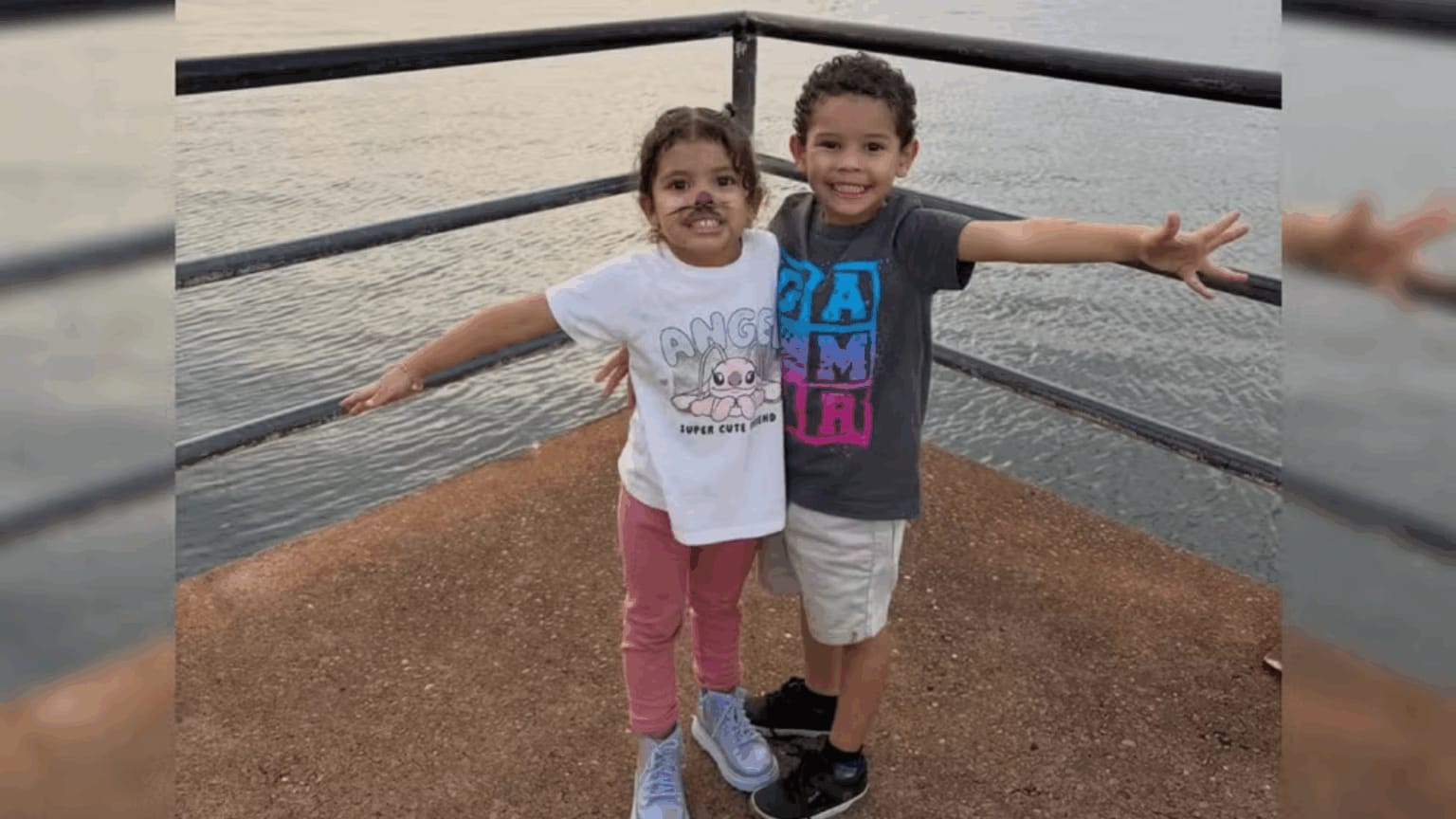 Irmãos de quatro anos morrem afogados na piscina em festa de família