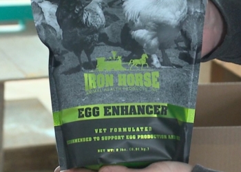 Access to this page has been denied