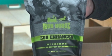 Access to this page has been denied