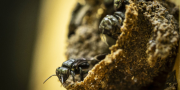 Bruno Santos - 16.jul.24/Folhapress