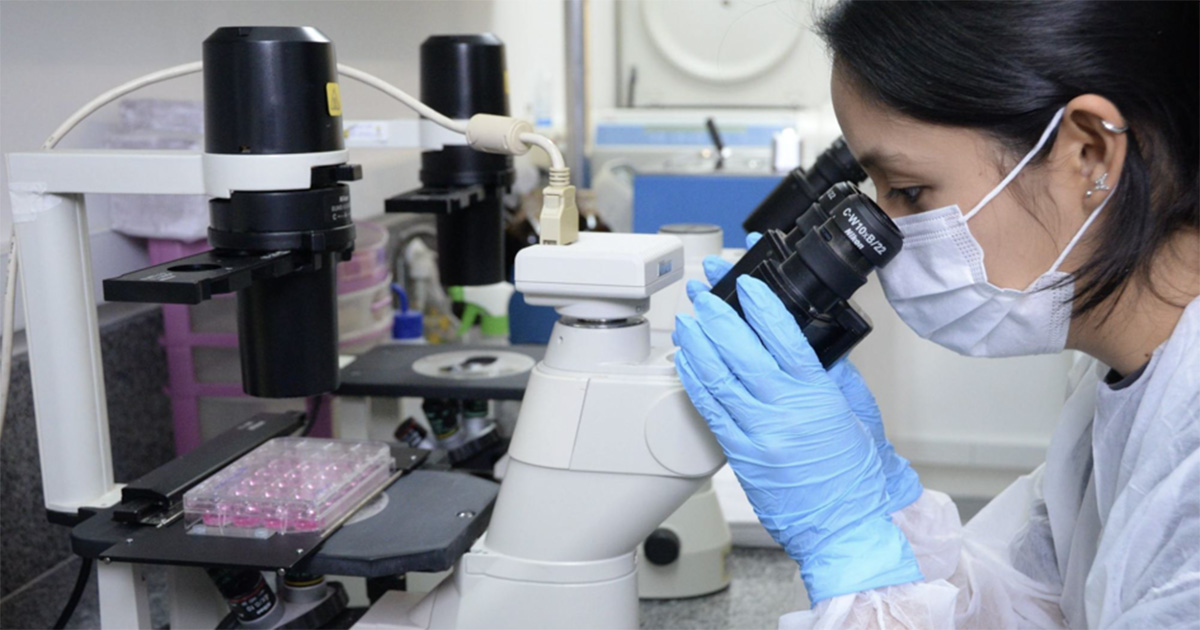 Pesquisa da USP identifica ligação inédita entre sistema imune e depressão