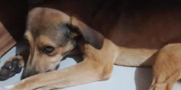 Foto: Fabrício Santos